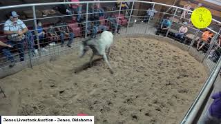 Jones Livestock Auction  Jones Oklahoma [upl. by Amol]