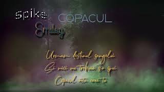 Spike Smiley – CopaculVersuri [upl. by Enelyk]