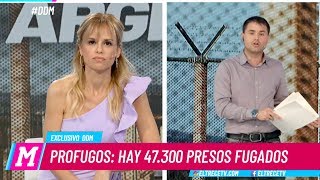 El diario de Mariana  Programa 190918  Prófugos Hay 47000 presos fugados [upl. by Eralc]