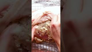 Garlic Butter Roasted Turkey Breast [upl. by Nived]