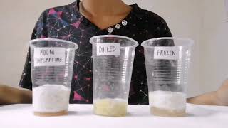 EXPERIMENT  THE ENZYME CATALASE POTATO AND HYDROGEN PEROXIDE [upl. by Andree]