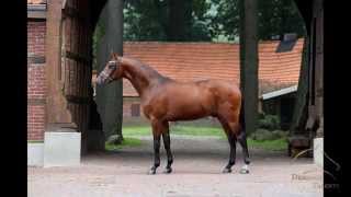 wwwdressagetalentscom  Double D [upl. by Einatsed]