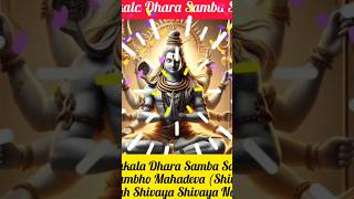 Chandrakala Dhara omnamahshivaaya bhajana songshiva bhajanakarteekamasam‪melodiesbyjaya16‬ [upl. by Euqilegna370]