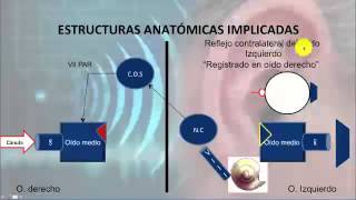 ¿Qué es una impedanciometría auditiva Cómo se mide el reflejo acústico [upl. by Eicarg269]