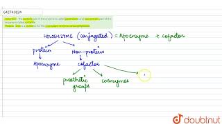 Assertion  The protein part of the enzyme is called apoenzyme and nonprotein part of the enzym [upl. by Kelsey]