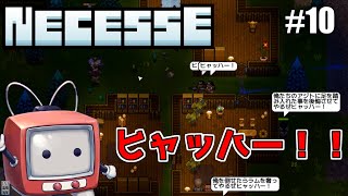 【Necesse】10 なんだかみんな楽しそうな海賊アジト【ゆっくり実況】 [upl. by Armond864]