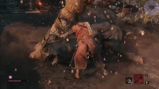 TORO LLAMEANTE  SOMBRA SOLITARIA ESPADA LARGA  MINI BOSSES  SEKIRO SHADOWS DIE TWICE PARTE 4 [upl. by Radek]