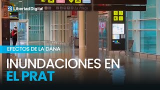 El aeropuerto de El Prat en Barcelona sufre inundaciones por la DANA [upl. by Graces]