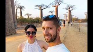 La avenida de los baobabs  MADAGASCAR 🇲🇬 [upl. by Savill520]