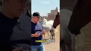 ¿Conoces la Pensión Agua Zarca Para tus Caballos [upl. by Ydahs]