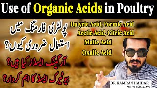 Why Organic Acids are Good in Poultry  How to Reduce Antibiotics in Poultry  Role of Butyric Acid [upl. by Egiedan]