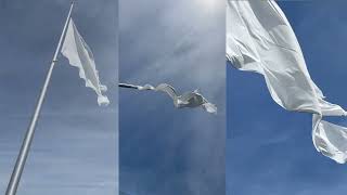 WIND SONG an An ArtMusicVideoPoem by douglas john imbrogno [upl. by Severin]