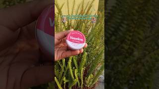 Vaseline lip balm review🌸💕✨ affordable flipkarthaul vaselineliptherapy treandingshort viral [upl. by Aihsemaj]