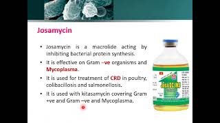 13 Macrolides [upl. by Ylsew]