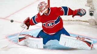 Best Saves in NHL History [upl. by Elinad]