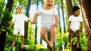 Learn with Nature  Forest  for babies toddlers infants amp preschoolers [upl. by Ahsenik557]