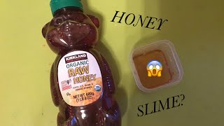 TESTING IF HONEY WORKS TO MAKE SLIME  ONE INGREDIENT [upl. by Nelra]