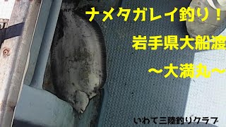 ナメタガレイ釣り！ 岩手県大船渡 [upl. by Conners]