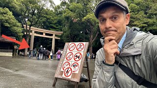 Tokyo Fallout from Vandalism at Meiji Shrine [upl. by Aiveneg]