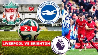 Liverpool vs Brighton 21 Live Stream Premier League Football EPL Match Score 2024 Highlights Vivo [upl. by Eanrahc]