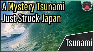 A Mystery Tsunami Just Struck Japan What Caused this Sudden Wave [upl. by Kenyon]