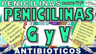 PENICILINA G BENZATÍNICA PROCAÍNICA SÓDICA Y PENICILINA V  GuiaMed [upl. by Leoj421]