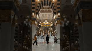 Bhar Do Jholi Meri Ya Muhammadﷺ  Naat Sharif  Madina Sharif  Islamic Status Video [upl. by Kacie]