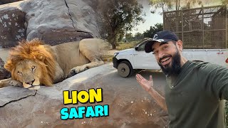 Lahore mein lion safari ka adventure kar lia 😍🦁 [upl. by Anot]