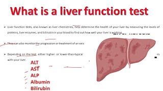 Liver Function test explained  ALT AST ALP Albumin Bilirubin Test  BiologyLectures [upl. by Gord]