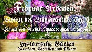 Arbeiten im Februar Blütensträucher TEIL 1 Flieder Rhododendron Mahonie schneiden [upl. by Pate204]