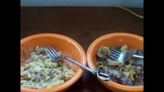 Emergency Food Review  Beef Stroganoff With Noodles Mountain House [upl. by Notlim38]