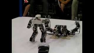 Robot ProWrestling Dekinnoka13 Saaga vs Waroo [upl. by Lothario]