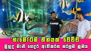 Wow From Ocean to Aquarium  These Amazing Sri Lankan Saltwater Fish Will Blow Your Mind 😍 [upl. by Aylsworth]