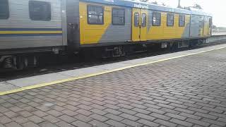 Metro rail cape town trainsport [upl. by Brynne]