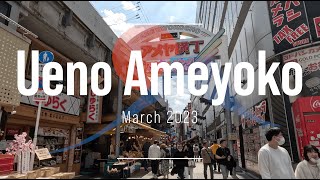 Ueno Ameyoko Shopping Street wandering [upl. by Zulema]