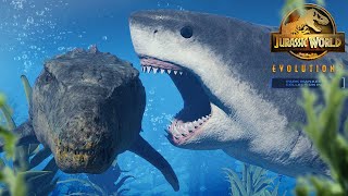 MEG DESTROYS MOSA Megalodon All Animations Showcase  Jurassic World Evolution 2 [upl. by Riada]