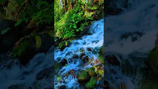 Relaxing Nature Sounds for Sleep and Anxiety  River Stream Sleep [upl. by Aisilef]