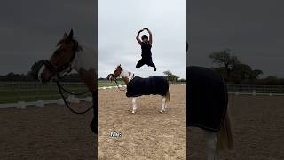 Jumping to conclusions 😇 equestrian horse jump conclusions funny trending [upl. by Elcin]