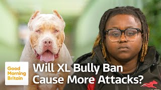 XL Bully Ban Will the New Rules Lead to More Attacks  Good Morning Britain [upl. by Tray]