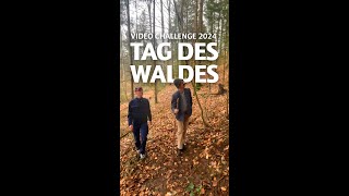 Samen zu Baum  Tag des Waldes Instagram Challenge  HBLA Ursprung Bäume Förster Wald [upl. by Starks893]