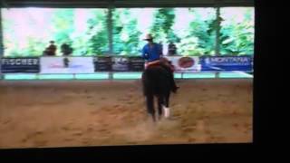 Nuith Linthorst amp Quarterhorse Just Miss Enterprise [upl. by Felita]