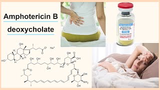 amphotericin B deoxycholate [upl. by Nosyerg968]