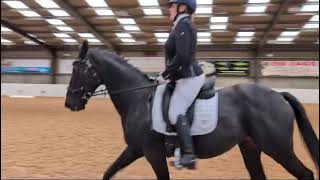 Novice 1  New British Dressage Test  64 [upl. by Acessej]