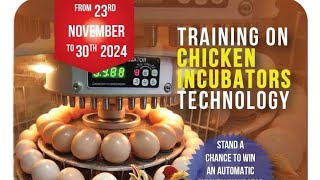 THE CHICKEN INCUBATOR PROJECT IN THE GREAT SUNDOWNER 9 WITH OMUKENKUFU NYANZI JULIUS Part 2 [upl. by Isiad21]