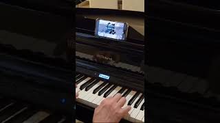 Pierre BacheletSans AmourPiano cover [upl. by Tsepmet]