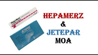 JETEPAR AND HEPAMERZ MODE OF ACTION [upl. by Negris360]