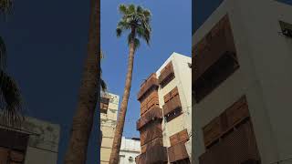 Jeddah Old Town Kandahar filming location jeddah saudiarabia travel blogger guide movie [upl. by Lenard]