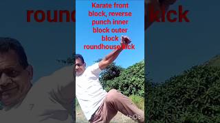 karate roundhouse kick with block n reverse punch [upl. by Nnaesor]