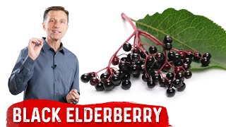 The Amazing Benefits of Black Elderberry [upl. by Oilalue]