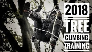 DMM Captain Hook  Tree Climbing Training  Bulldog Bone  Tree Traverse  GoPro [upl. by Kacerek]